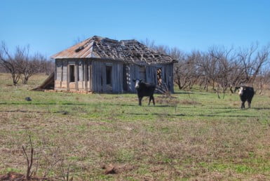 66 acres in Foard County