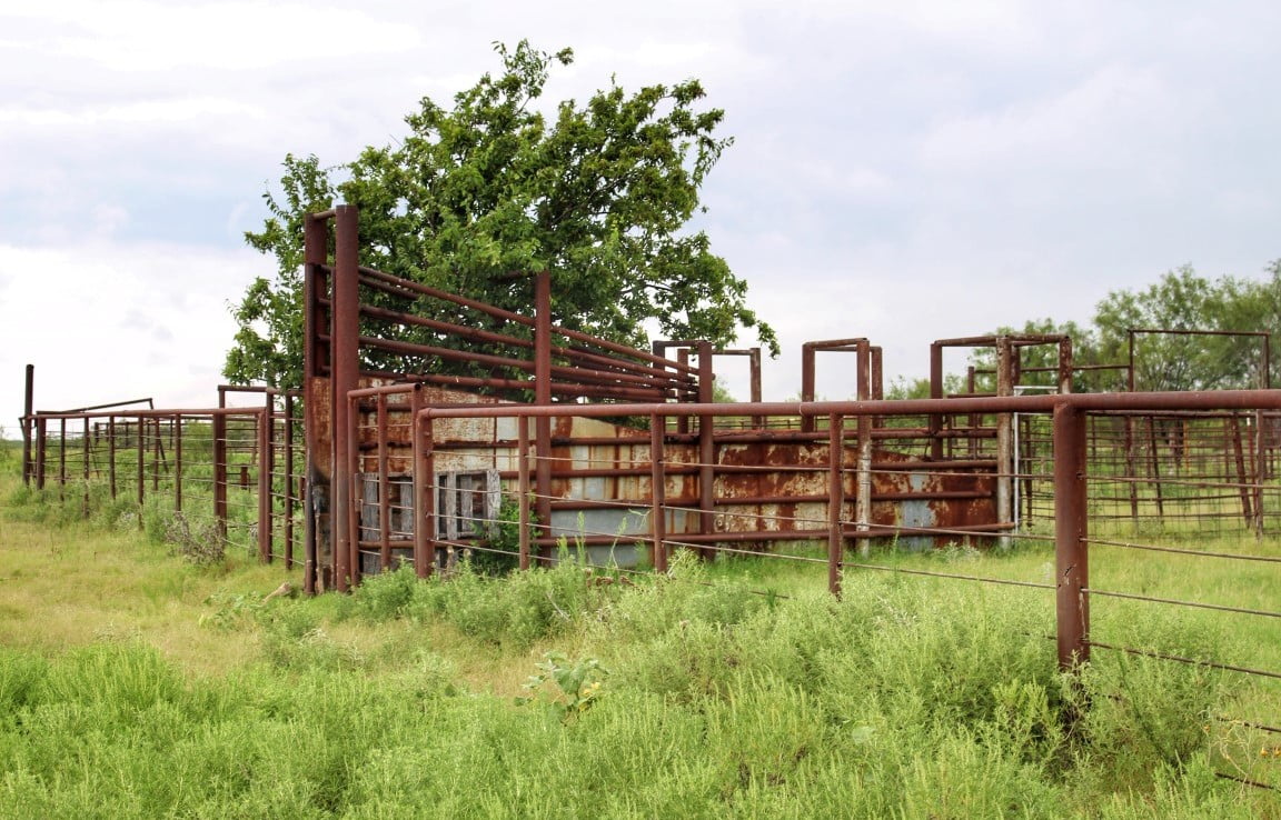 687 acres in Clay County