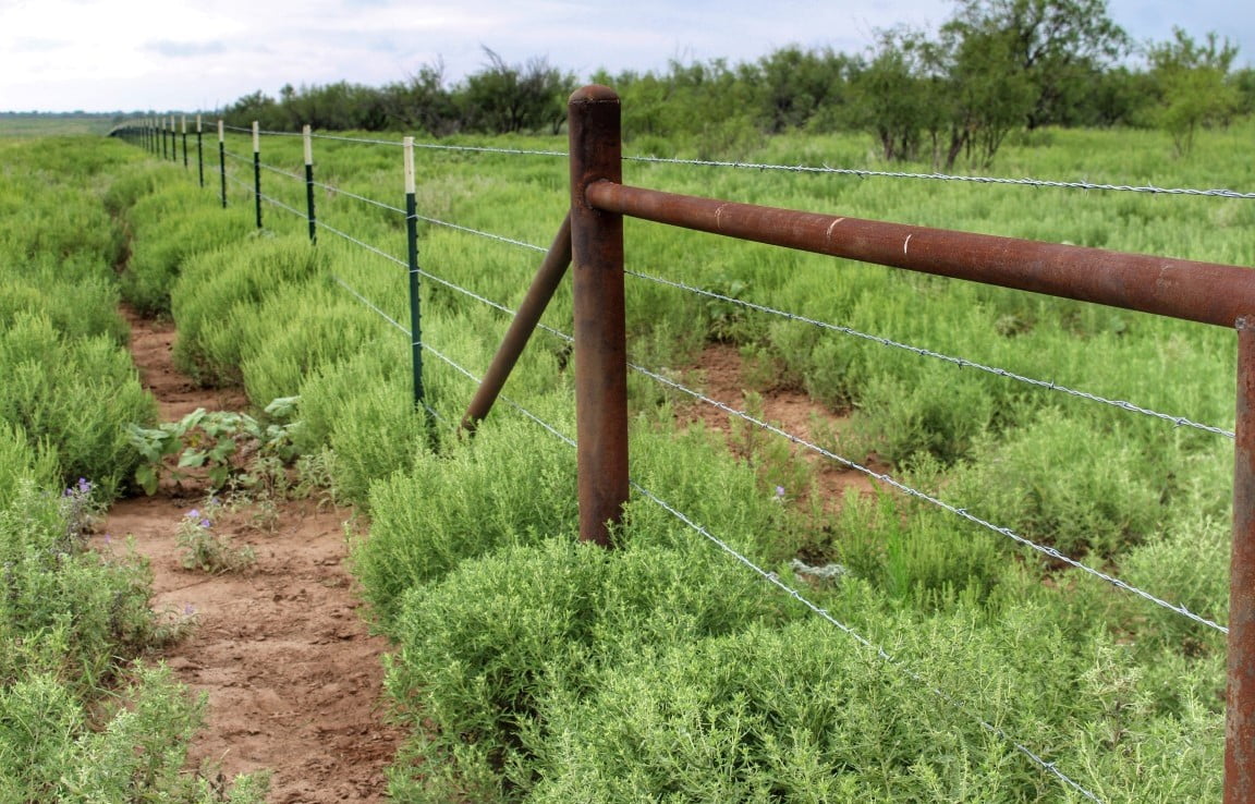 687 acres in Clay County