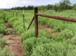 687 acres in Clay County