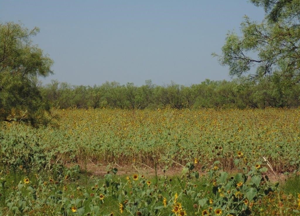 322 acres in Jones County