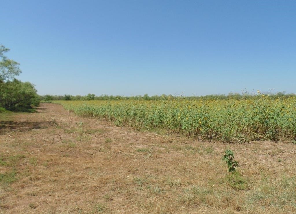 322 acres in Jones County