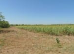 322 acres in Jones County
