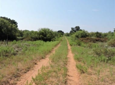 1,246 acres in Jack/Young County