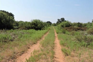 1,246 acres in Jack/Young County