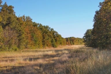 108 acres in Parker/Jack County