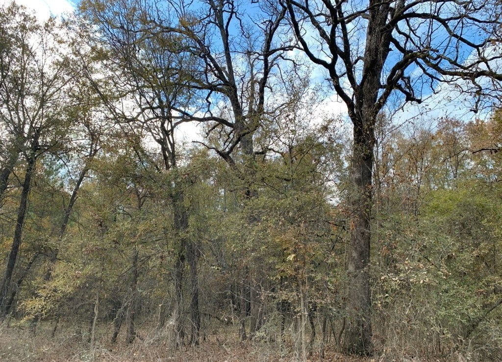 21 acres in Red River County
