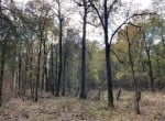 21 acres in Red River County