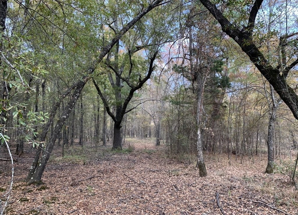 21 acres in Red River County