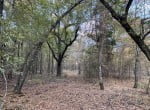 21 acres in Red River County