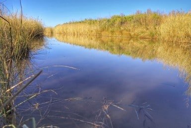 583 acres in Wilbarger County