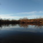 113 acres in Taylor County