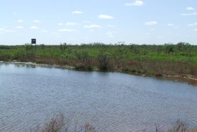 4173 acres in Foard County