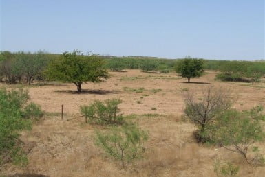 3,830 acres in Baylor County