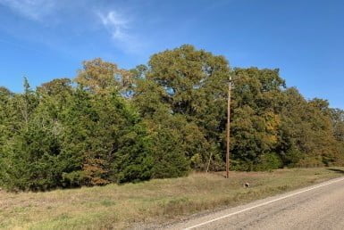 Homesite in Titus County