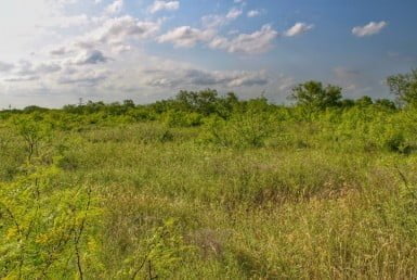 11 acres in Archer County