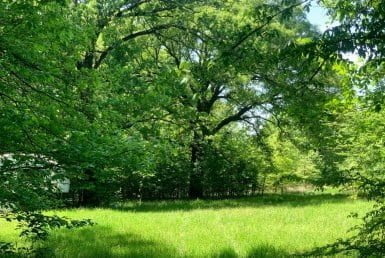 12 acres in Titus County