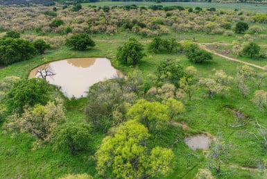1,203 acres in Young County