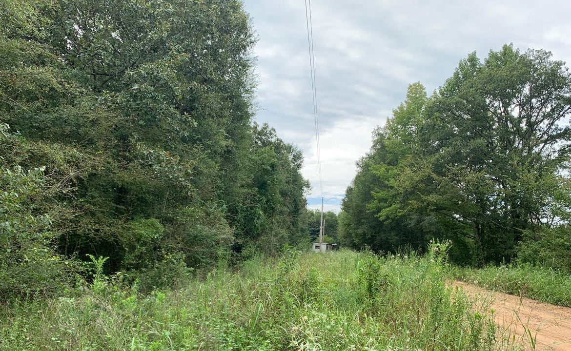 40 acres in McCurtain County