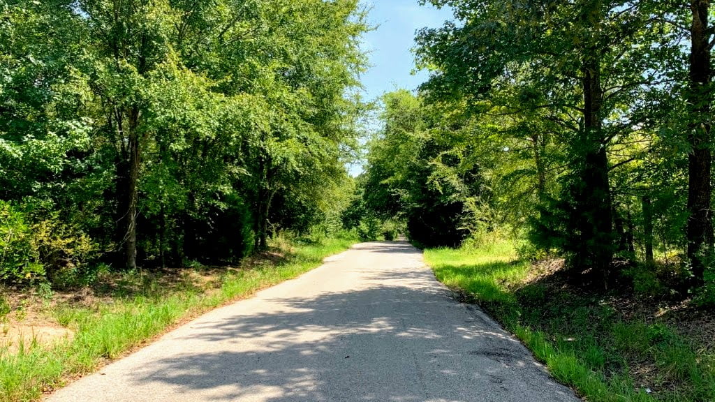 23 acres in Camp County