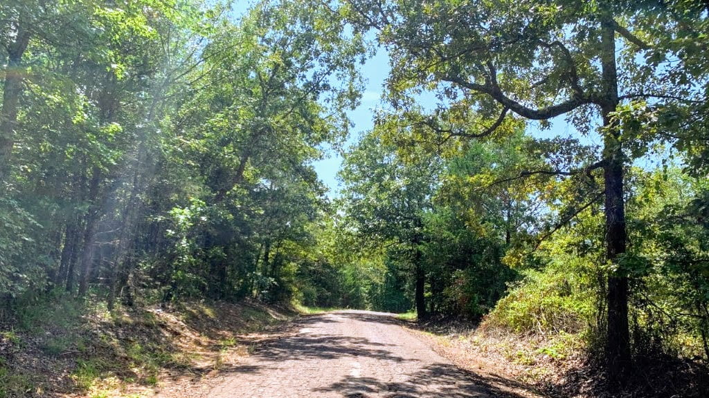 23 acres in Camp County
