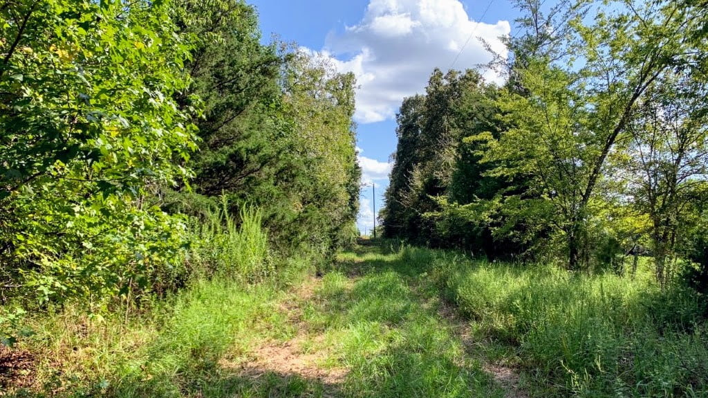 23 acres in Camp County