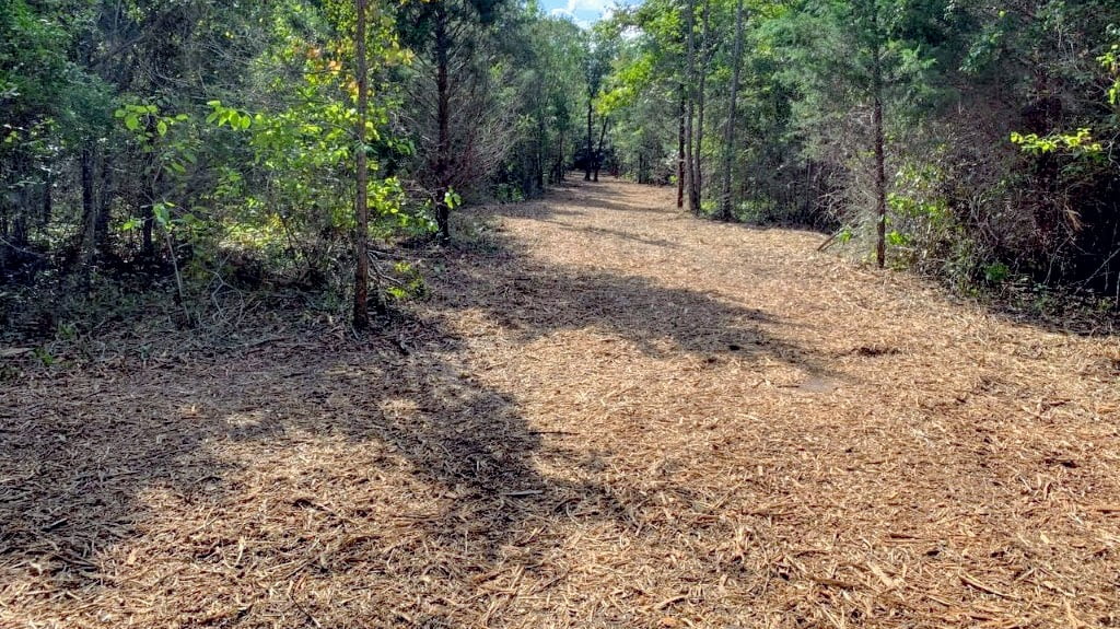 23 acres in Camp County
