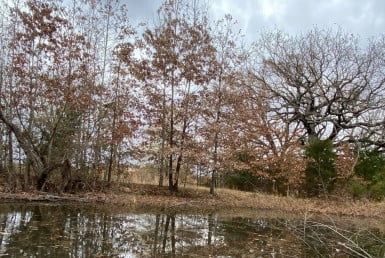 2 acres in Titus County