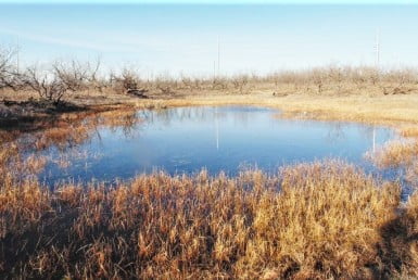 18 acres in Jones County
