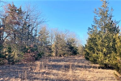 11 acres in Lamar County