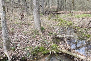 8 acres in Morris County