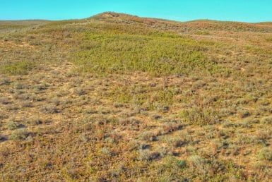 640 acres in Gray County