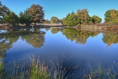 82 acres in Montague County