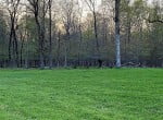 21 acres in Titus County
