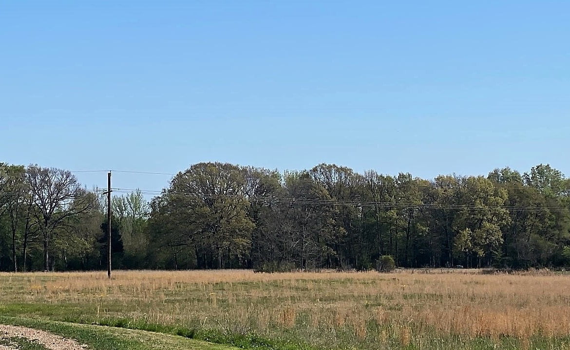 21 acres in Titus County