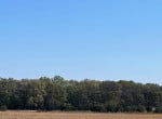 21 acres in Titus County