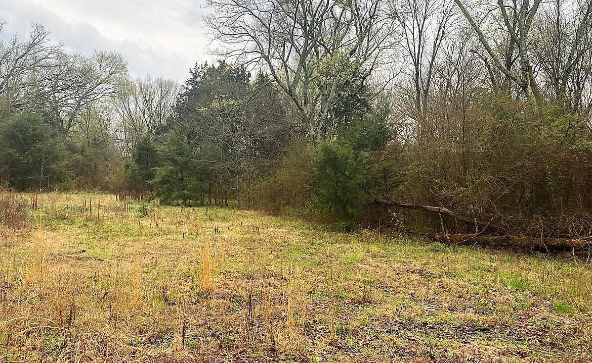 21 acres in Titus County