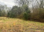 21 acres in Titus County