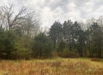 21 acres in Titus County