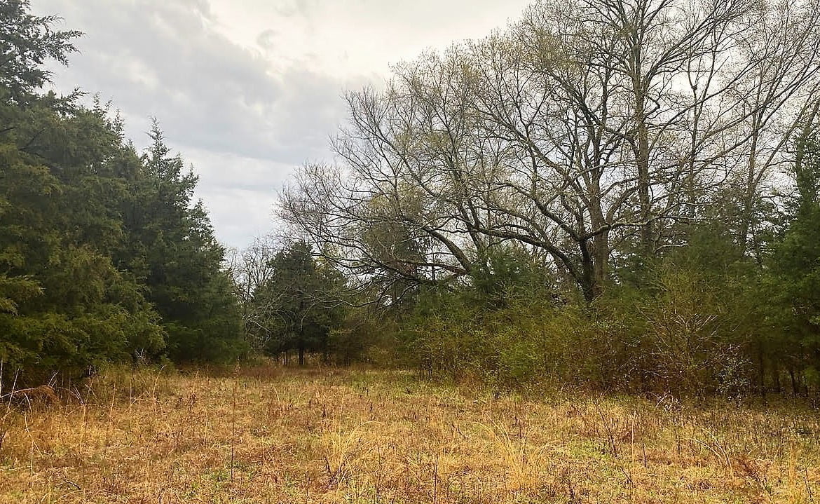 21 acres in Titus County