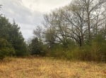 21 acres in Titus County