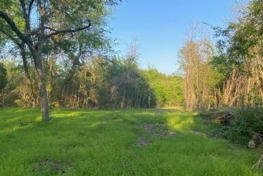 1 acres in Titus County
