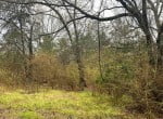 21 acres in Titus County