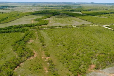 250 acres in Taylor County