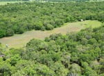61 acres in Young County