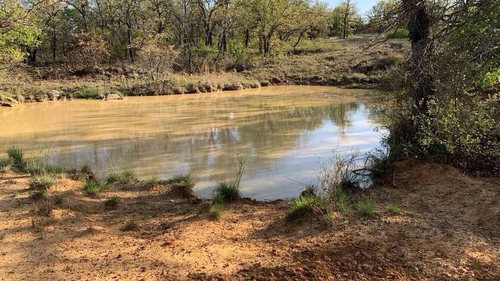 61 acres in Young County
