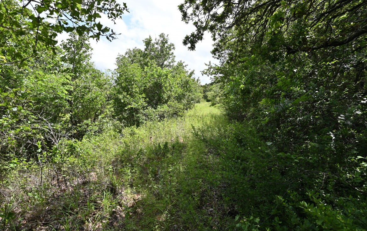 61 acres in Young County