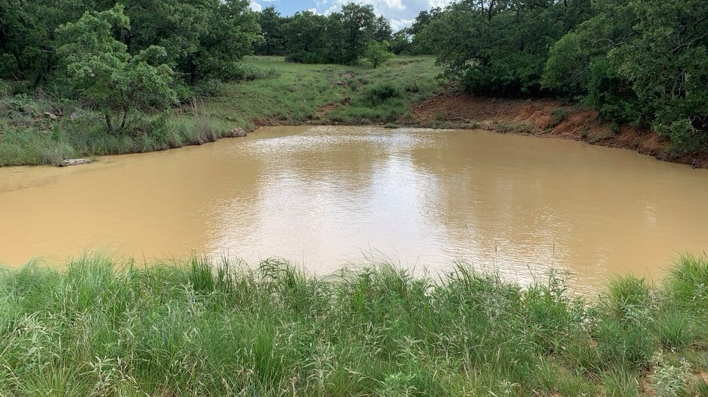 61 acres in Young County