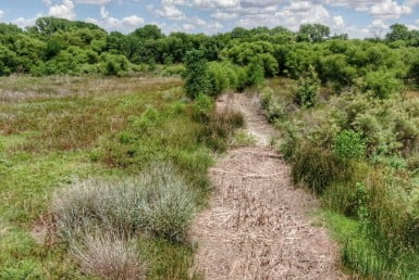 25 acres in Wilbarger County