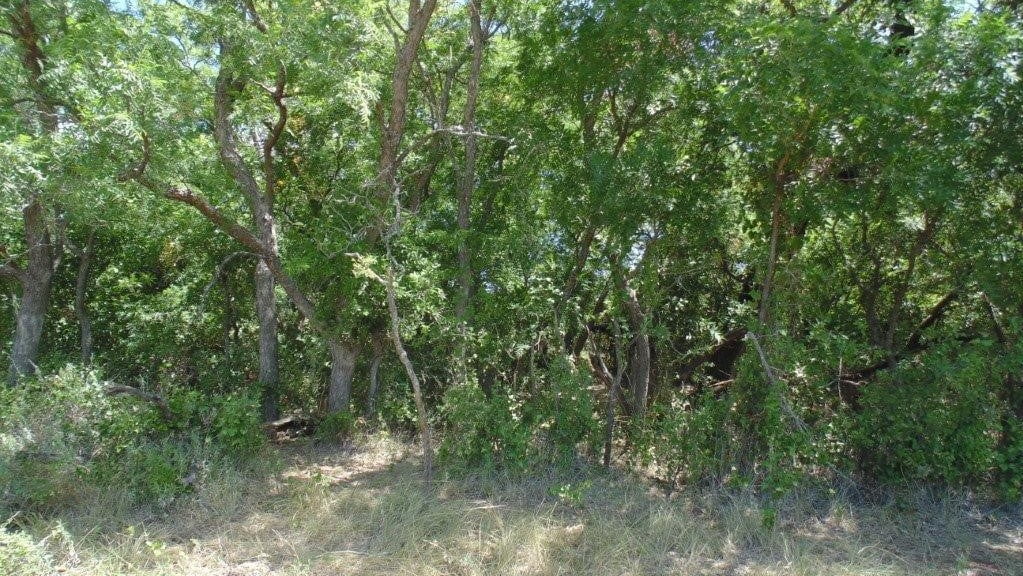 85 acres in Taylor County